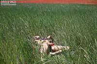 Fascinating hairy free erotic pussy pics