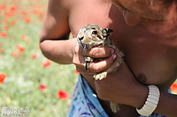 Fascinating hairy free erotic pussy pics