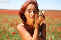 Fascinating hairy free erotic pussy pics