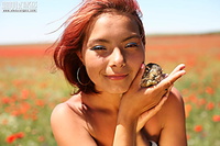 Fascinating hairy free erotic pussy pics